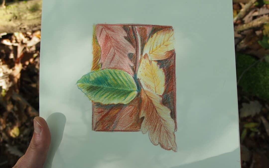 Comment dessiner les feuilles d&rsquo;automne ?