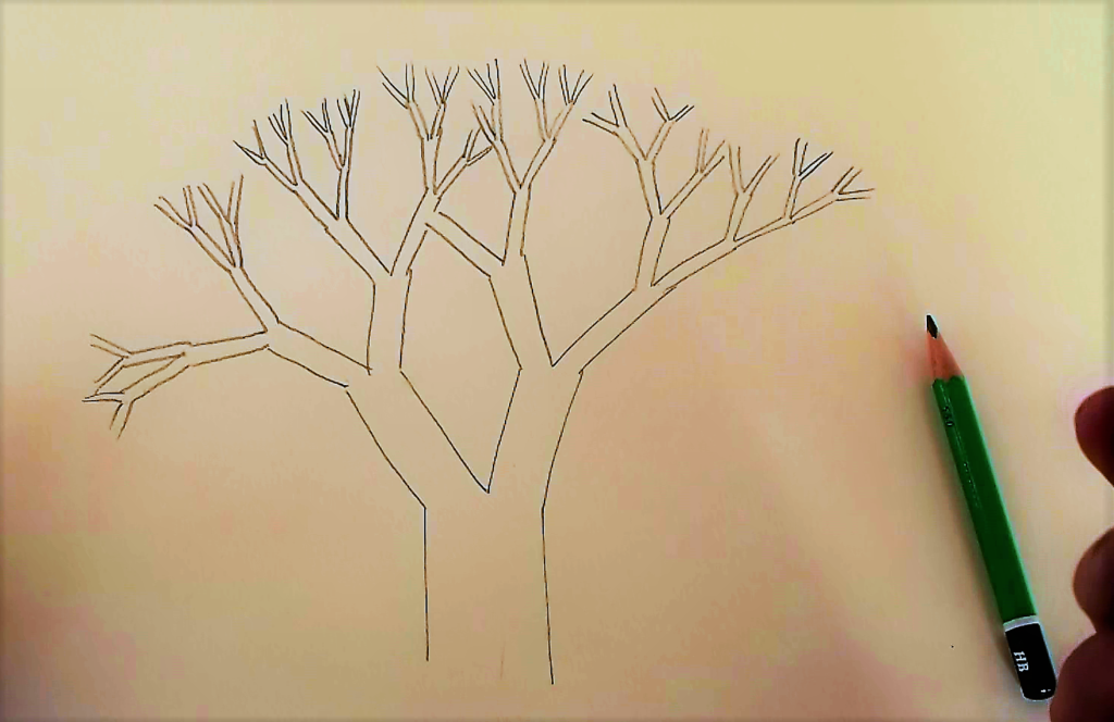 cours dessin végétal arbre comment dessiner