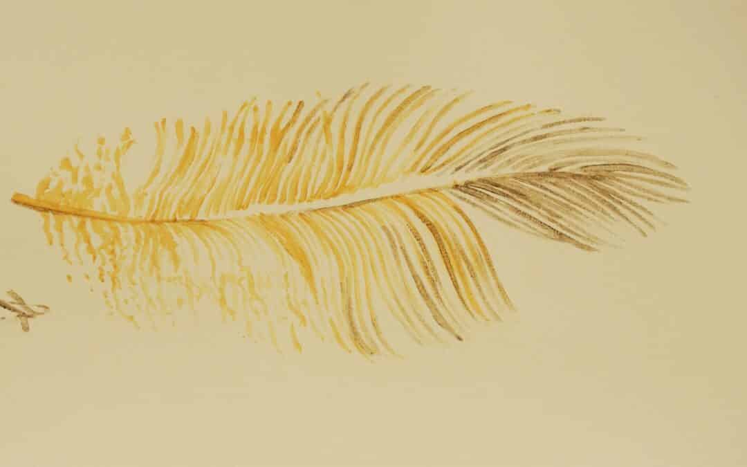 Comment dessiner une plume ?