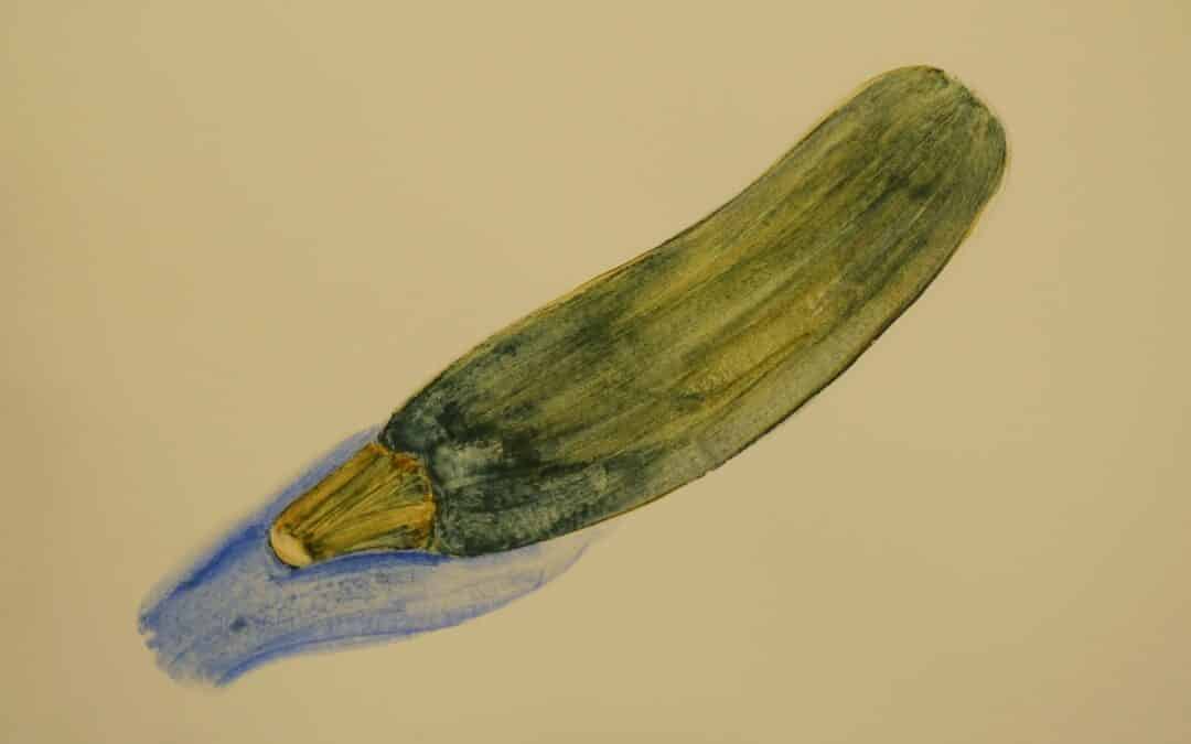Comment dessiner un légume : la courgette, à la peinture à la farine ?