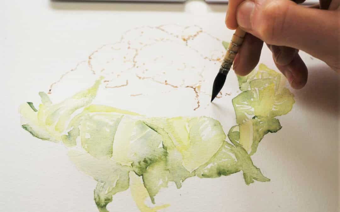 Comment dessiner un légume : le chou-fleur, à l&rsquo;aquarelle ?