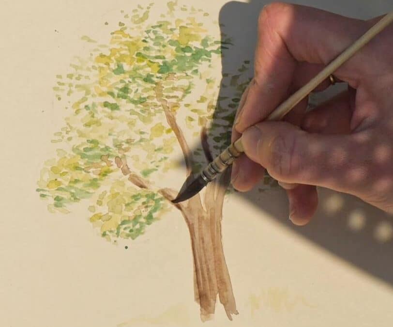 Comment dessiner un arbre en randonnée ?