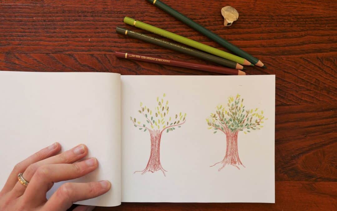 Comment dessiner un arbre au crayon de couleur, en randonnée ?