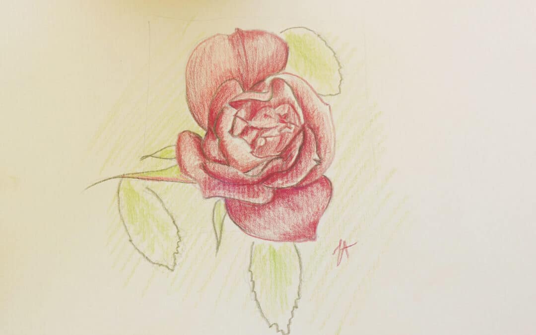 Comment dessiner une rose (fleur) ?