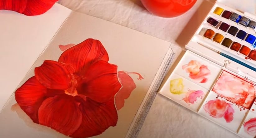 coeur-de-fleur-et-pistils-aquarelle