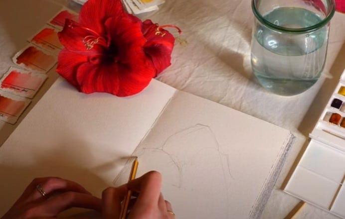 dessiner-pour-croquis-aquarelle-de-fleur