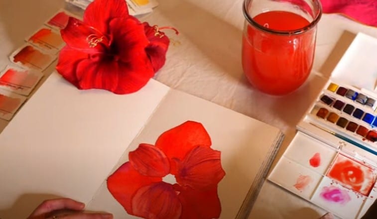 deuxième-lavis-pétales-de-fleur-rouge-croquis-aquarelle