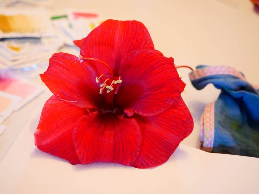 fleur-rouge-apprendre-aquarelle-en-ligne-sujet