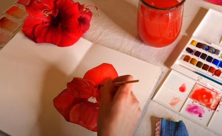 Comment peindre une fleur à l’aquarelle – Amaryllis ?