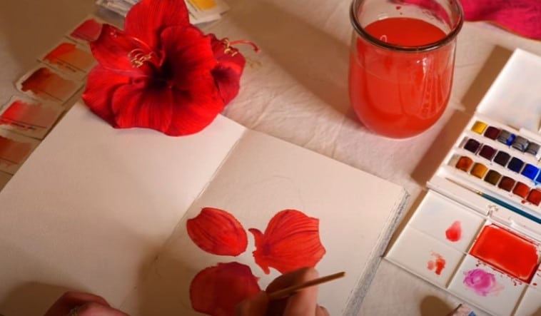 tracé-nervures-sur-fleur-aquarelle